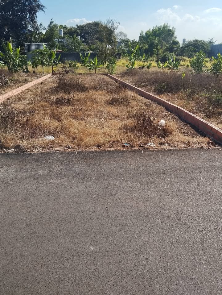 Đất nền mặt tiền đường nhựa Hưng Lộc, Đồng Nai - 100m², 800 triệu