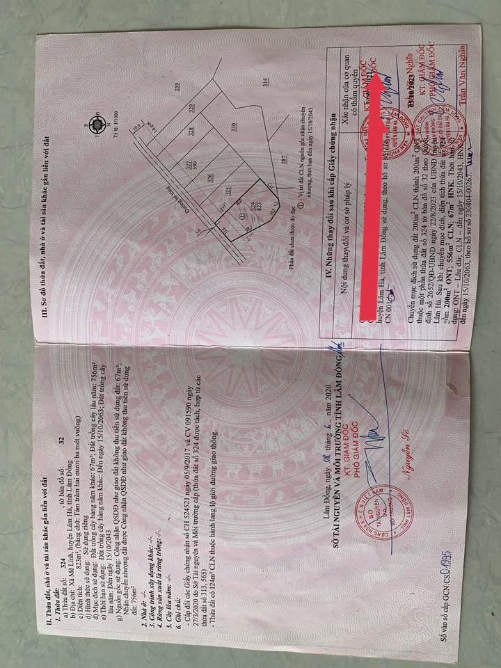 Đất Đồi Đà Lạt 823m² - Sổ Đỏ Sẵn Sàng - Gần Rừng Thông