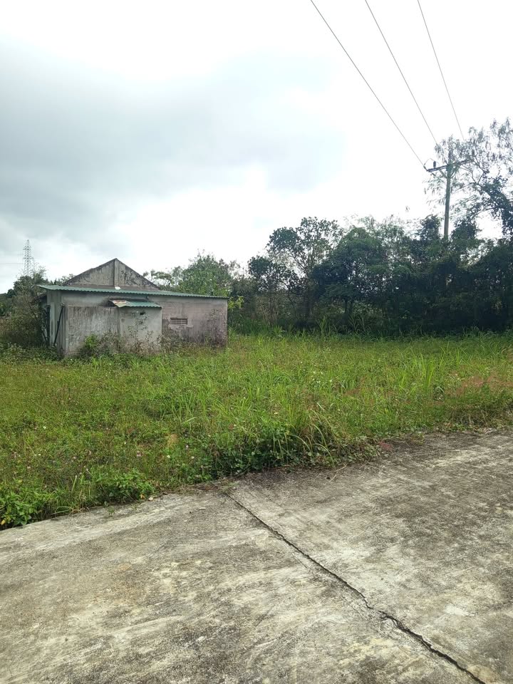 Đất Nền 1440m² Thị Trấn Ea Knốp - Sổ Hồng Riêng, Giá 1.2 Tỷ