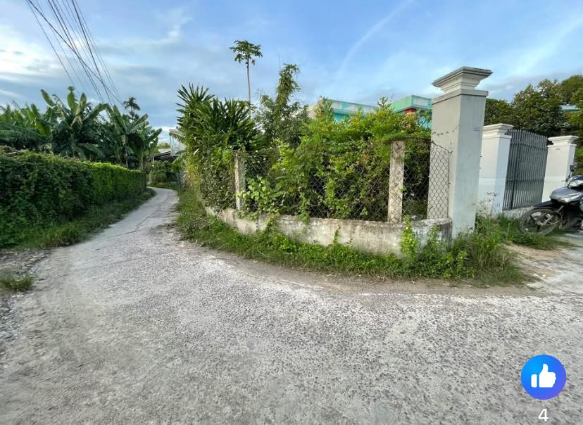 Đất Lô Góc 100m² Mặt Tiền Đường Bê Tông - Gần Trường Phước Thuận, Bình Định