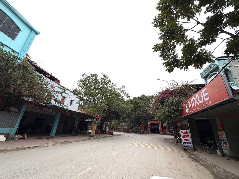 Bán Đất Lô Góc Phật Tích, Tiên Du - 161m² Kinh Doanh Siêu Lợi Thế