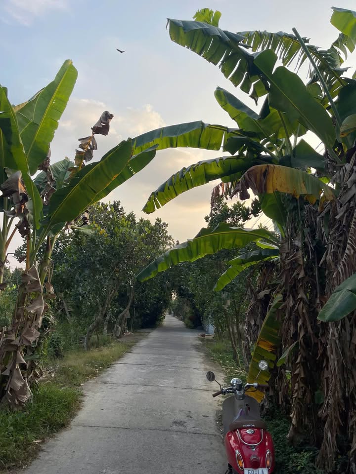 Bán đất nền mặt tiền Rạch Bà Vại, Sa Đéc - 150m², hướng Đông Nam, giá 870 triệu