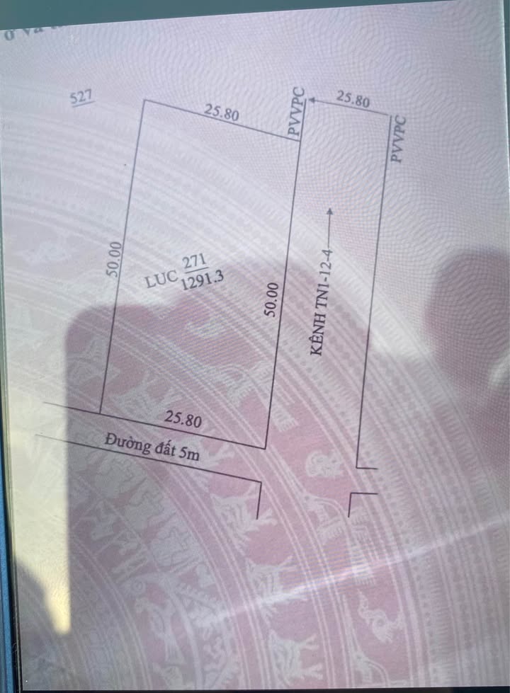 Bán đất Tân Biên 1290m² giá 800 triệu - Đầu tư sinh lời ngay!