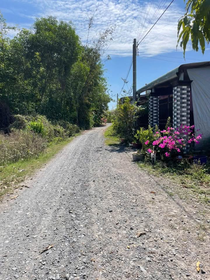 Bán Đất Gò Dầu 304m² Sổ Đỏ Chính Chủ - Giá Tốt 880 Triệu