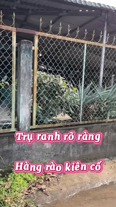 Bán Gấp Nhà Cấp 4 & Đất Rộng 351m² Thổ Cư Tại Thạnh Hòa, Cần Thơ - Giá 1.25 Tỷ