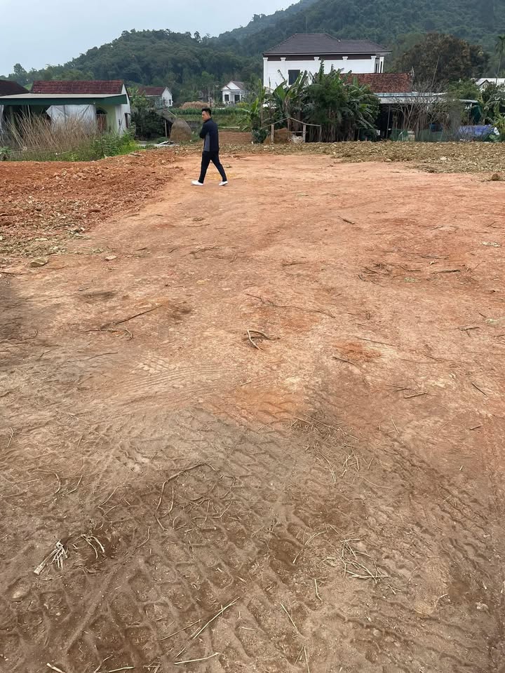 Đất nền TT. Nghĩa Đàn 236m² giá 550 triệu - Tiềm năng tăng giá!