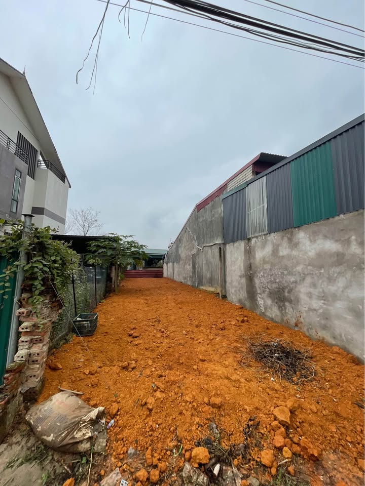 Đất Nền 113m² Yên Lạc, Vĩnh Phúc - Hai Mặt Tiền, Giá Đầu Tư 2 Tỷ