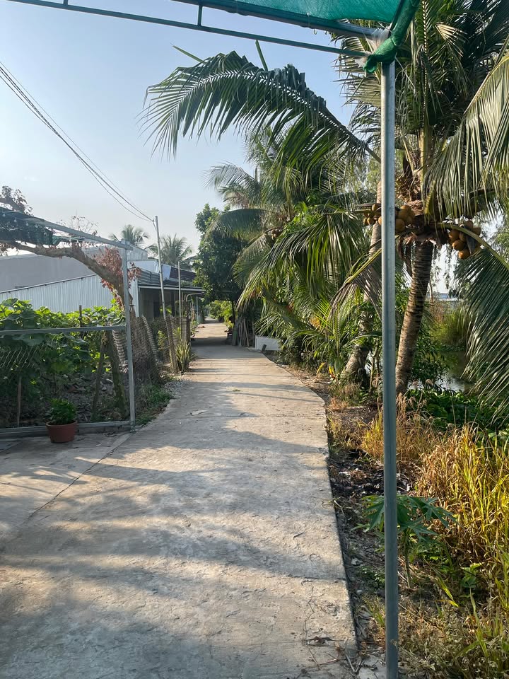 Đất nền Cờ Đỏ Cần Thơ 190m² giá 500 triệu - Sổ đỏ chính chủ