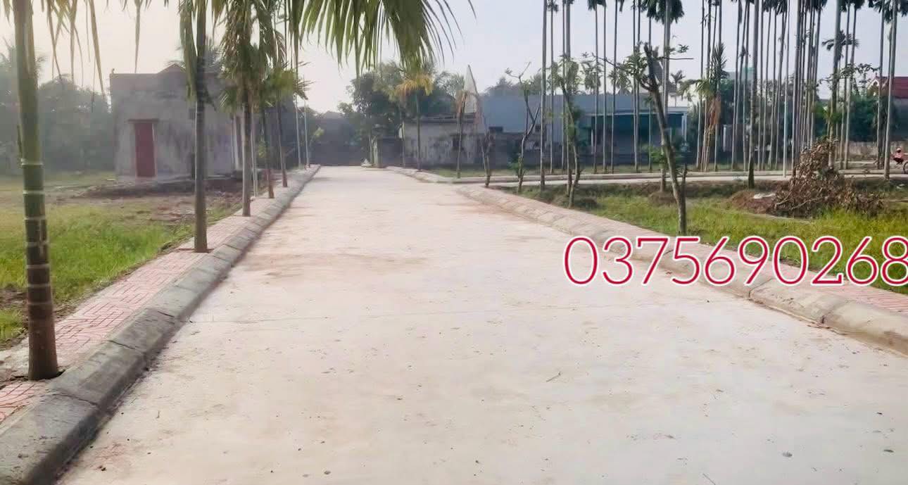 Bán Đất Nền Nga Sơn 117m² - Sổ Hồng Thổ Cư, Giá Chỉ 3xx Triệu