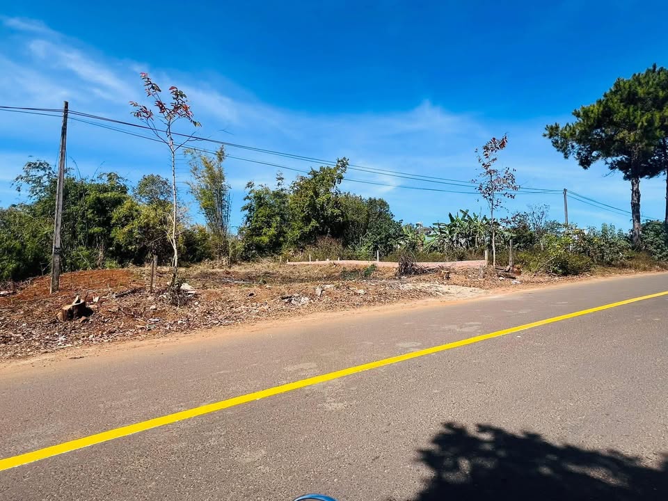 Nhà phố Pleiku 290m² giá 3.5 tỷ - Mặt tiền kinh doanh đắc địa!