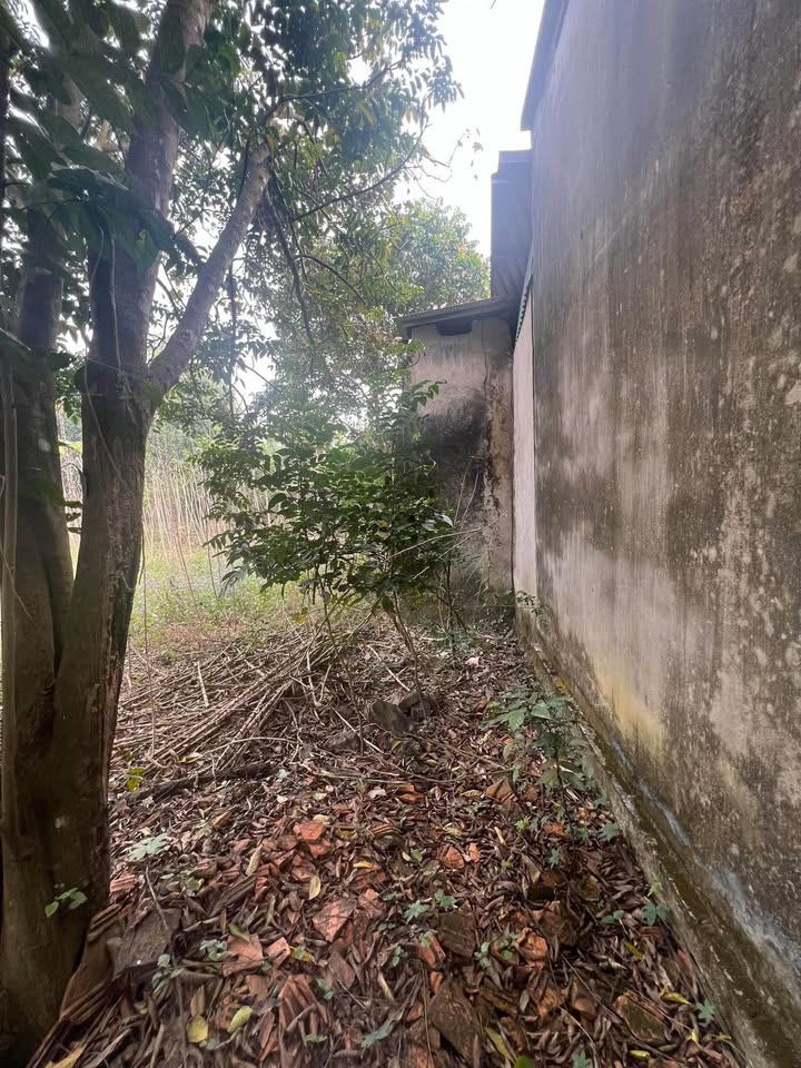 Đất nền An Tường Tuyên Quang 177m² - Sổ đỏ chính chủ, đường ô tô!