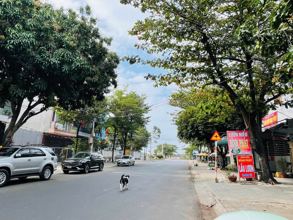 Khách Sạn Mặt Tiền Lê Văn Lộc, Vũng Tàu - 224m² Kinh Doanh Đắc Lợi