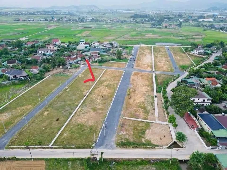 Đất nền Nghi Long, Nghi Lộc 195m² - Tiềm năng tăng giá vượt trội!