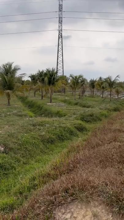 Bán Đất Nền 5000m² Hẻm Điện Biên Phủ, Tây Ninh - Giá 300-600 Triệu/Công