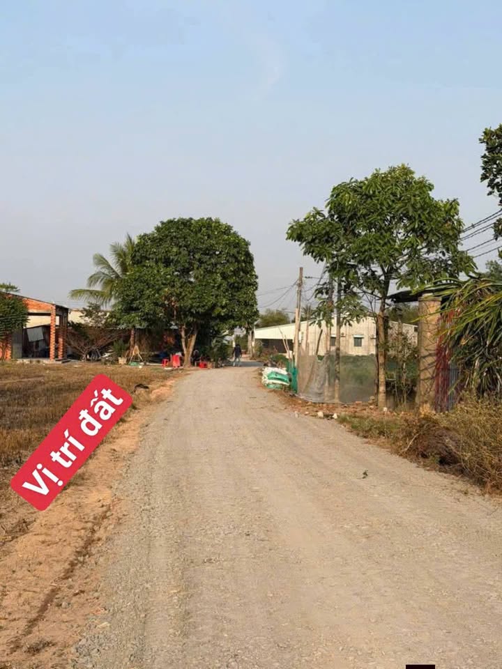 Đất nền Bến Cầu 180m² - Sổ hồng riêng, full thổ cư - Giá chỉ 325 triệu