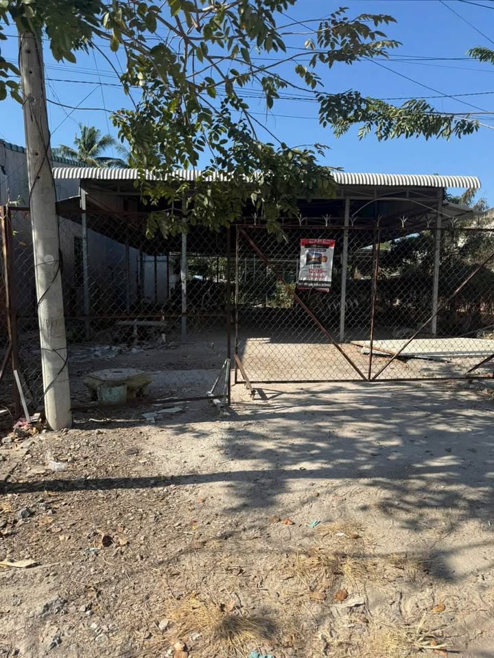 Đất nền Long Hoa, Hòa Thành 295m² - Đất thổ cư 100% sổ đỏ sẵn sàng!