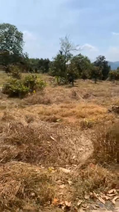 Đất nền Xã Mã Đà, Vĩnh Cửu | 2.3ha giá 5.5 tỷ | Sổ đỏ chính chủ