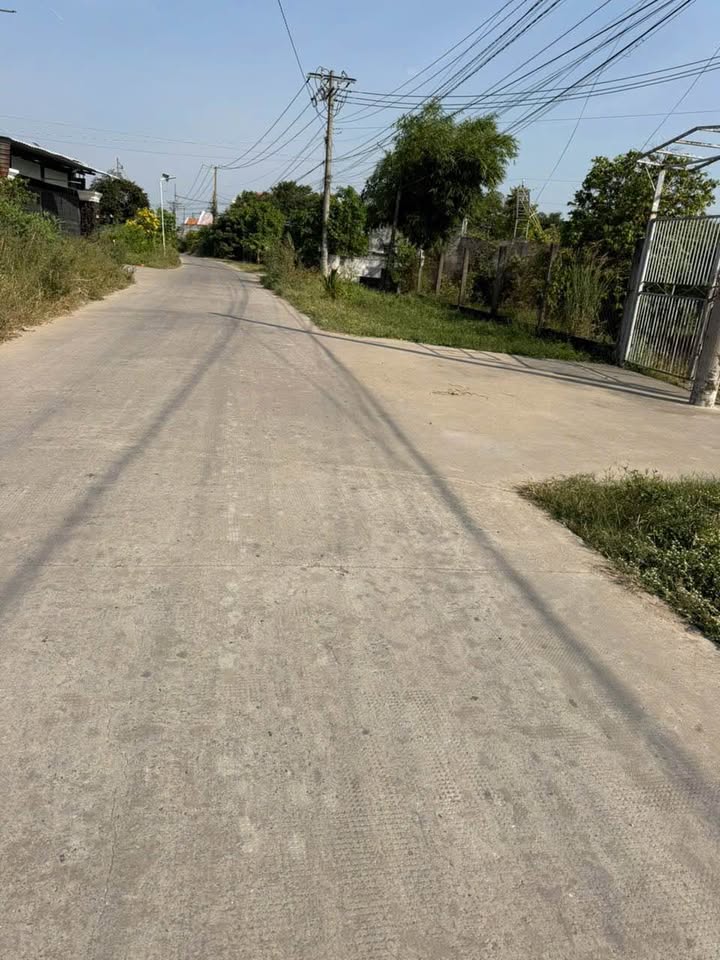 Đất nền Đức Hòa Long An 1300m² Sổ hồng riêng - Mặt tiền đường Thịnh Phát