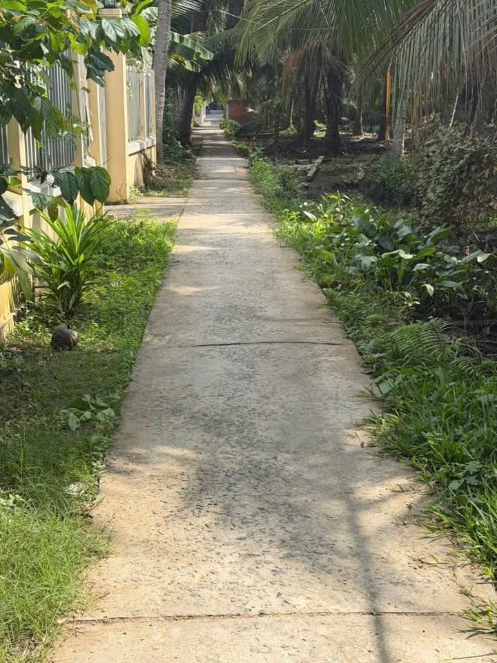 Đất Vườn Bến Tre 700m² - Sổ Đỏ, Gần QL57, Đối Diện Trường THPT