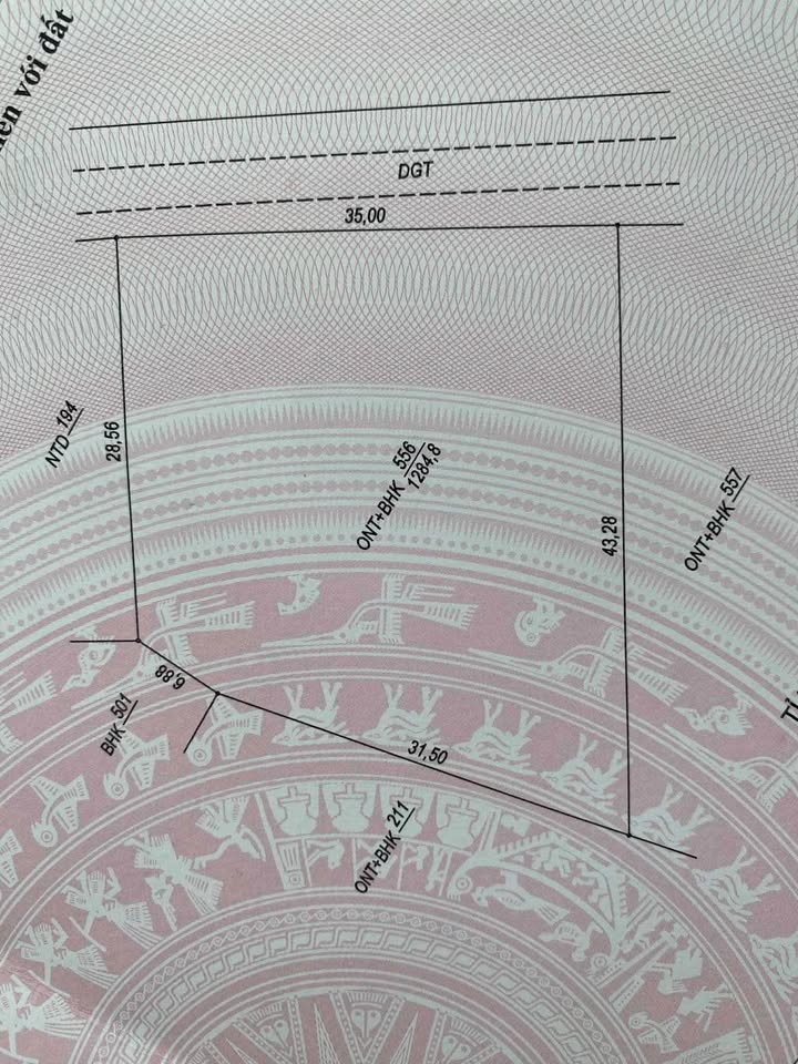 Đất Nền Mặt Tiền Liên Xã Tây Thiện, Lệ Thủy - 1505m² Kinh Doanh Sinh Lời