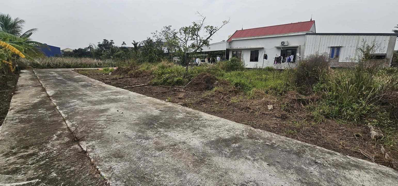 Đất nền An Lão Hải Phòng 78m² giá 1 tỷ - Tiềm năng tăng giá!