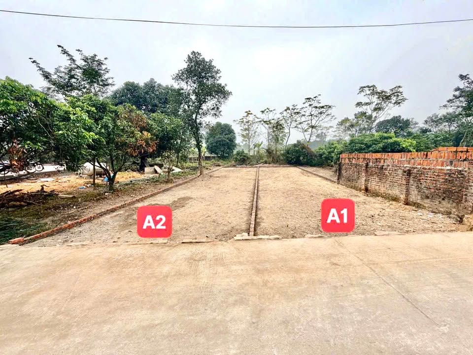 Đất nền Tam Quan Tam Đảo 230m² giá 1.2 tỷ - Sổ đỏ chính chủ