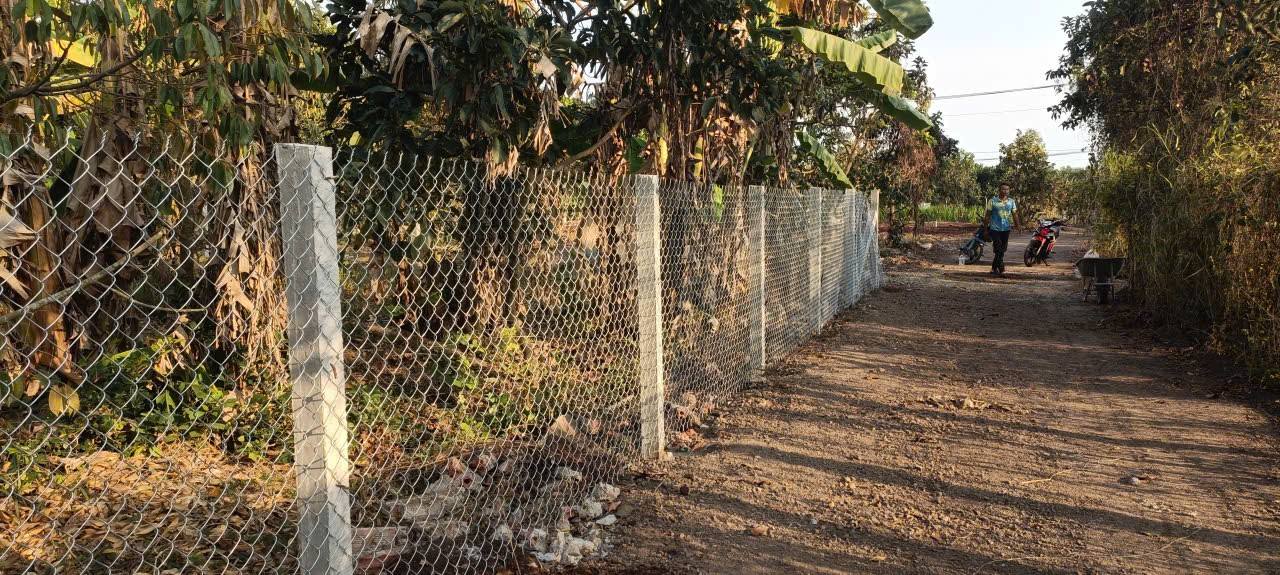 Đất nền Long Tân, Long Đất 1100m² - Sổ đỏ chính chủ, vườn sầu riêng sẵn!