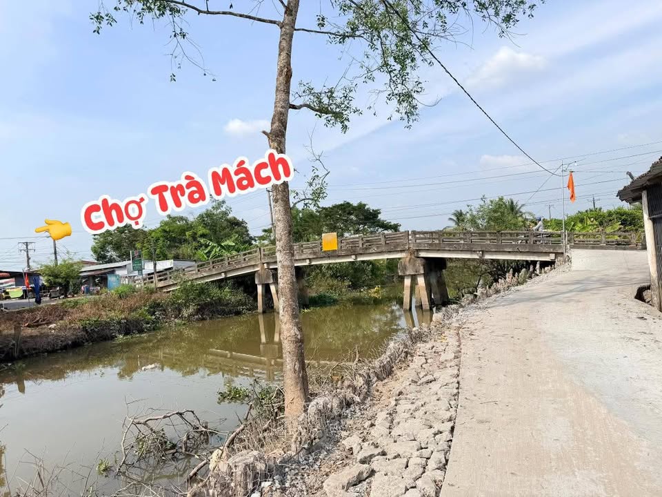 Bán Đất Vĩnh Long 138.8m² Thổ Cư 100% - Gần Chợ Trà Mách, Sổ Hồng Sẵn Sàng