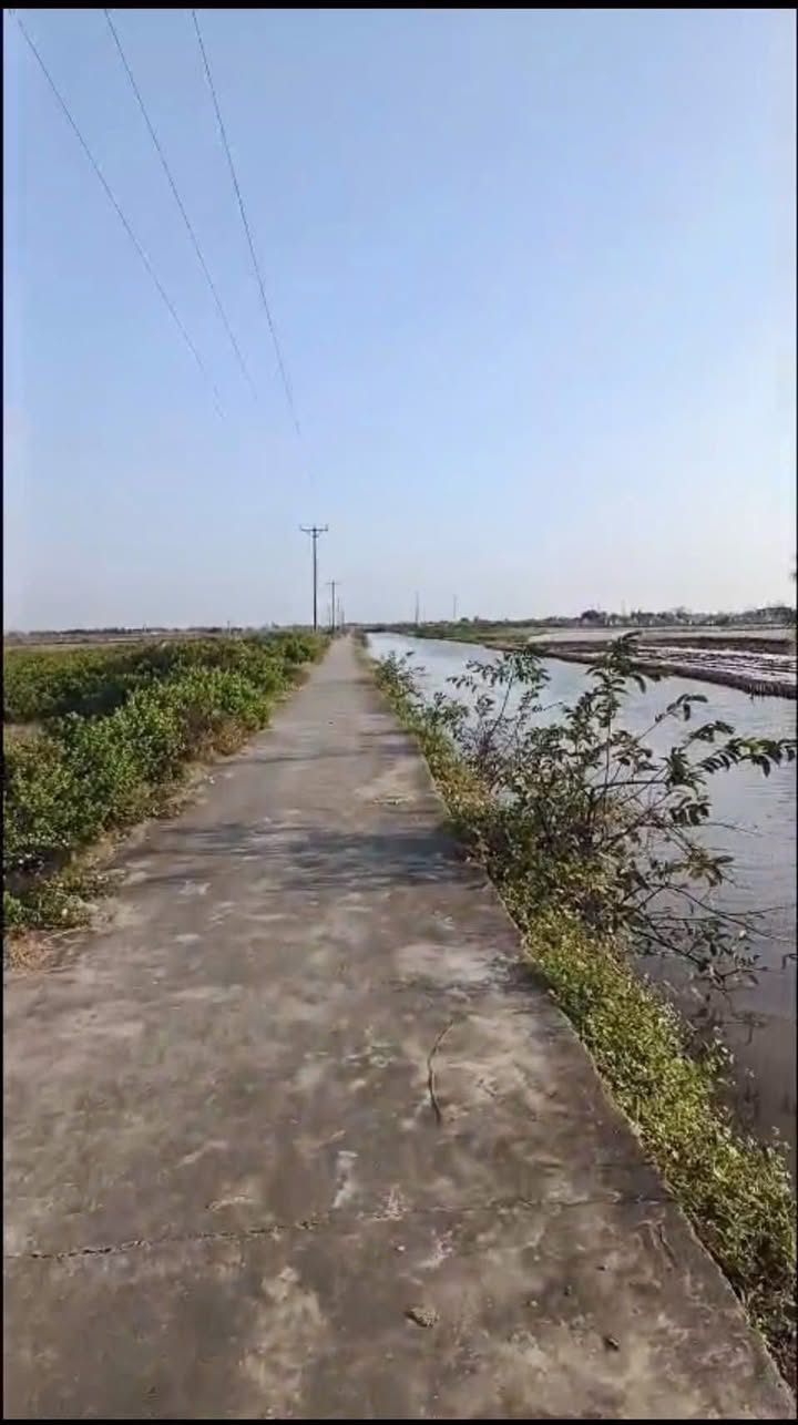 Đất nền Xã Nga Thái, Thanh Hóa - 154m² Hướng Nam, Sổ đỏ sẵn sàng