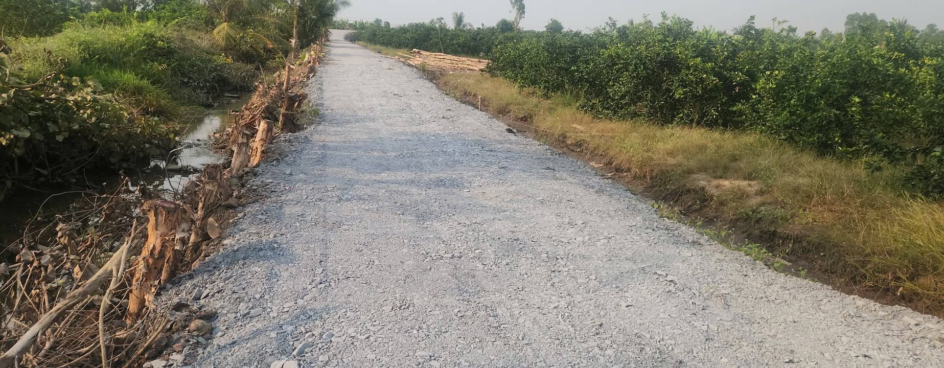 Đất vườn Bến Cầu Tây Ninh 500m² giá 350 triệu - Nghỉ dưỡng lý tưởng!