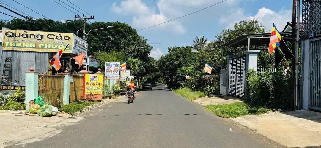 Nhà Mặt Tiền Tạ Quang Bửu, BMT 81m² - Mặt tiền kinh doanh 910 triệu!