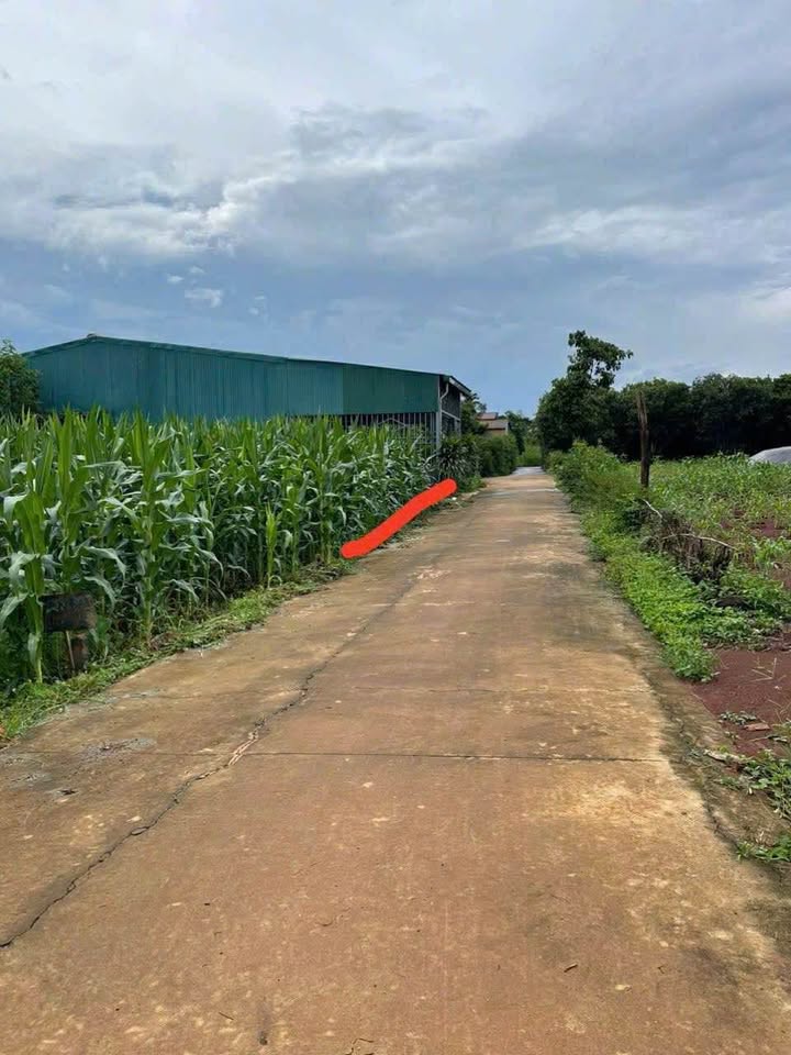 Bán đất thổ cư 135m² đường bê tông, Phường Chi Lăng, Lạng Sơn - 725 triệu