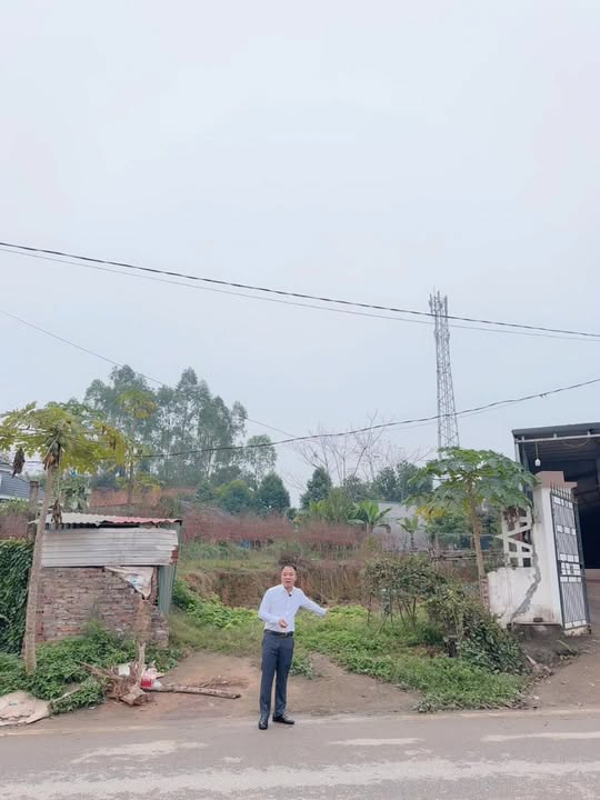 Đất nền Phù Ninh 111.6m² - Sổ đỏ chính chủ, tiềm năng đầu tư!