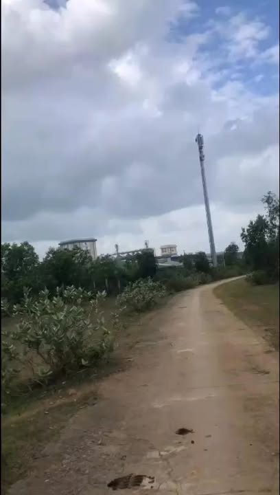 Đất Rừng Sản Xuất An Nhơn 1.2ha Giá Ngộp, Tiềm Năng Lớn