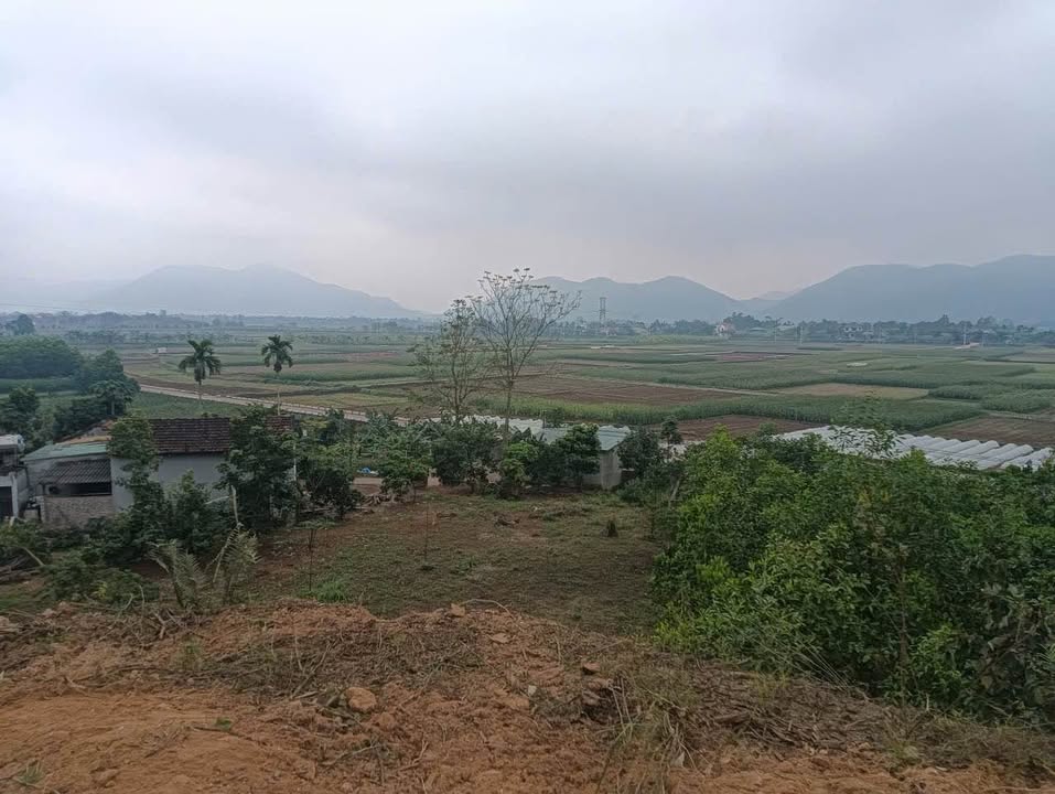 Đất Vườn Ba Vì 2000m² - Nghỉ Dưỡng Lý Tưởng, View Đẹp