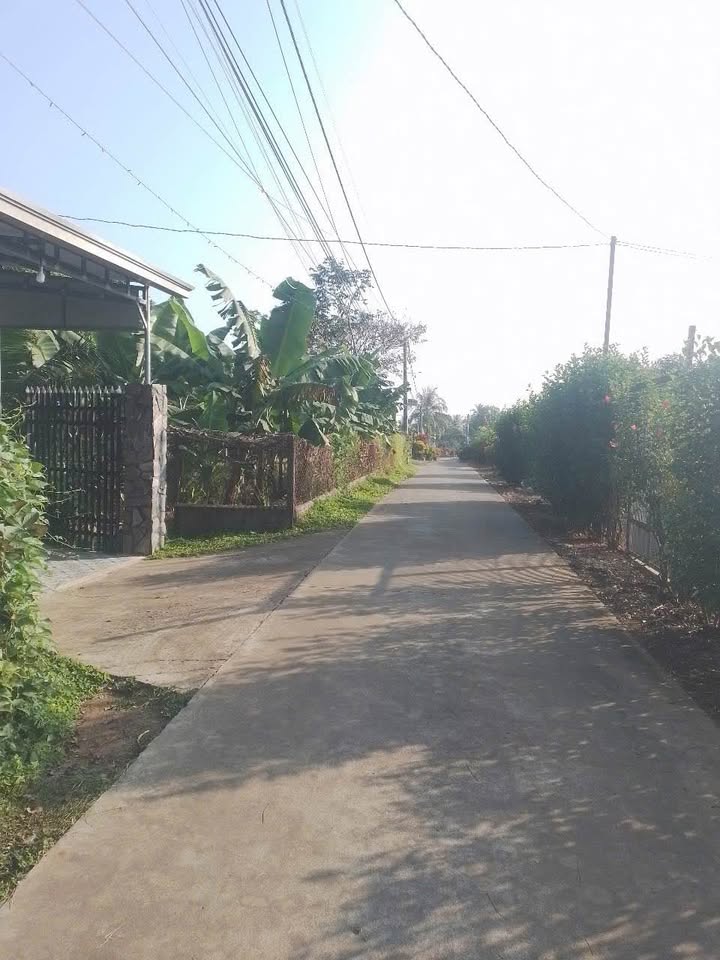 Bán Gấp Nhà Vườn 705m² Có Trại Heo 100 Con - Phú Thanh, Tân Phú, Đồng Nai