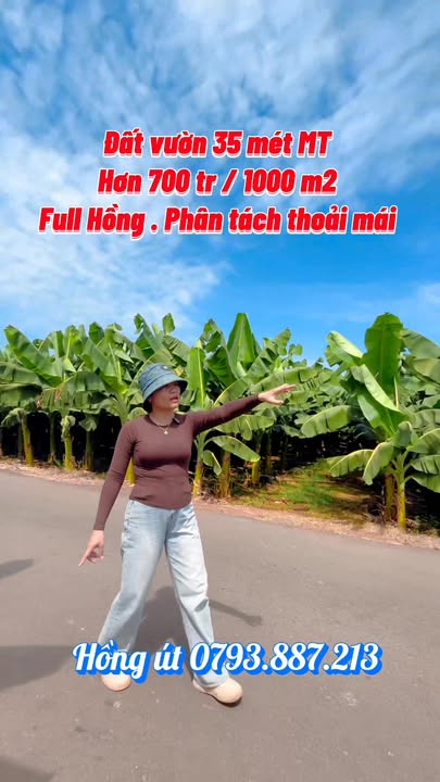 Đất Vườn Quy Hoạch ONT 3177m² Mặt Tiền Nhựa - Biên Hòa, Đồng Nai