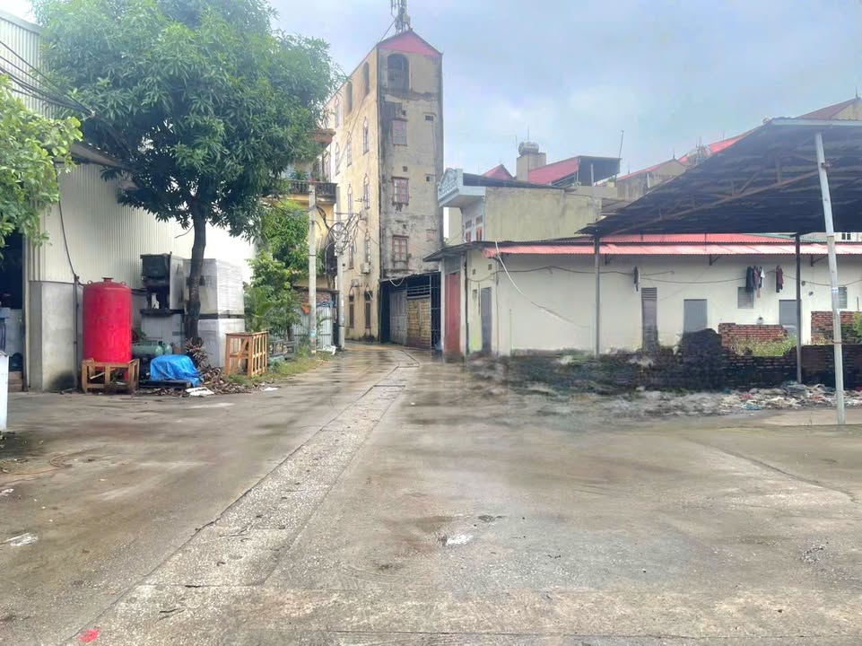 Đất nền Võ Cường Bắc Ninh 130m² chỉ 3 tỷ - Tiềm năng tăng giá vượt trội!