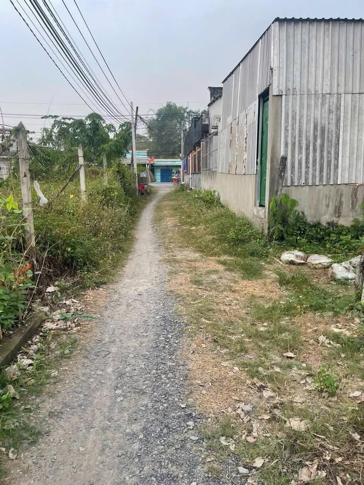 Bán Đất Phú Hòa Đông, Củ Chi 220m² - Sổ Đỏ Full Thổ Cư, Giá 1.9 Tỷ