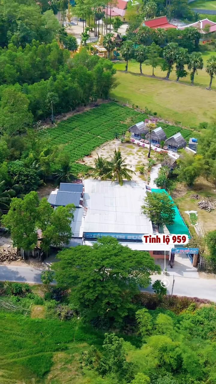 Quán ăn sân vườn Tri Tôn 3000m² - Dòng tiền ổn định, sinh lời ngay!