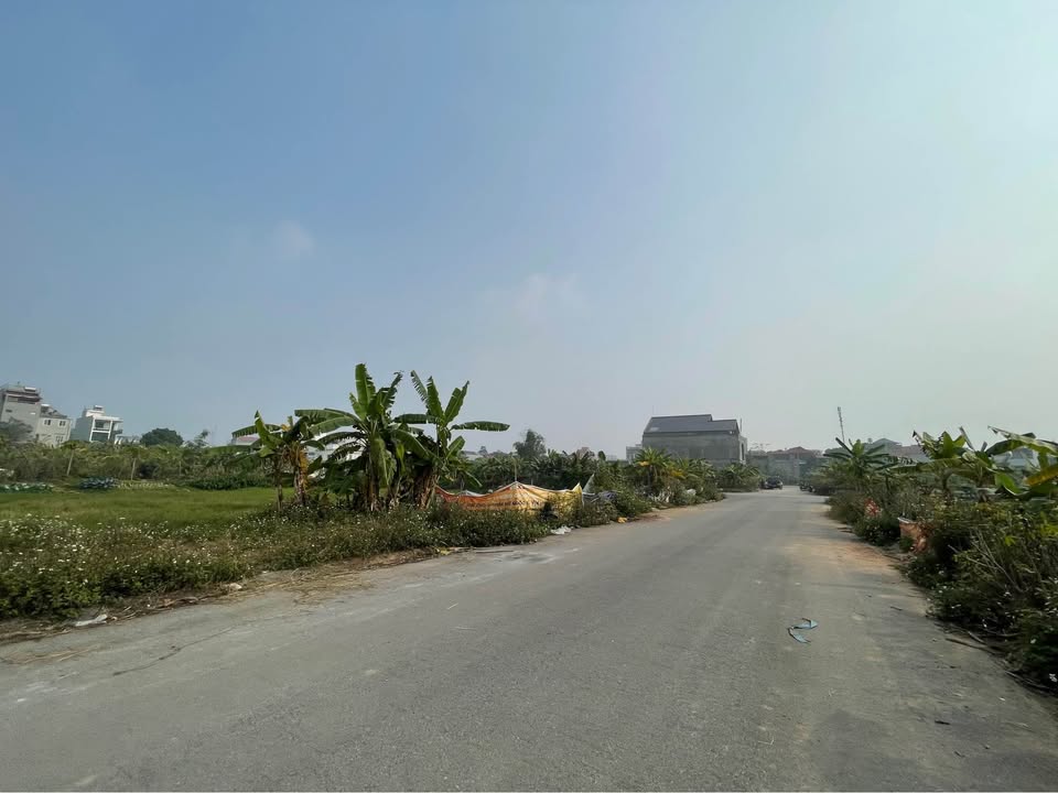 Đất Dịch Vụ Tích Sơn, Vĩnh Yên 105m² - Đất thổ cư 100%