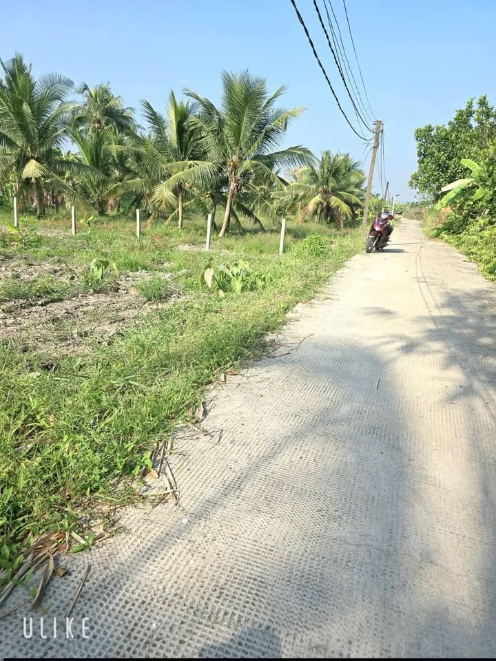 Đất Vườn 2000m² Long An - Sổ Hồng Riêng, Giá 1.75 Tỷ - Đầu Tư Sinh Lời