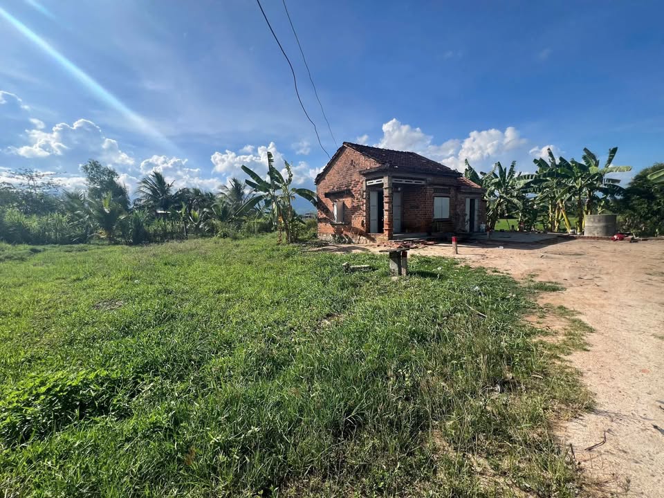 Đất thổ cư Ninh Hòa 200m² - Giá chỉ 199 triệu, view đồng lúa đẹp