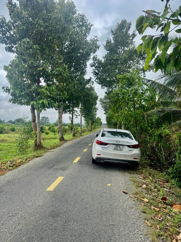 Đất nền Hậu Giang 8000m² - Đất thổ cư 100%!