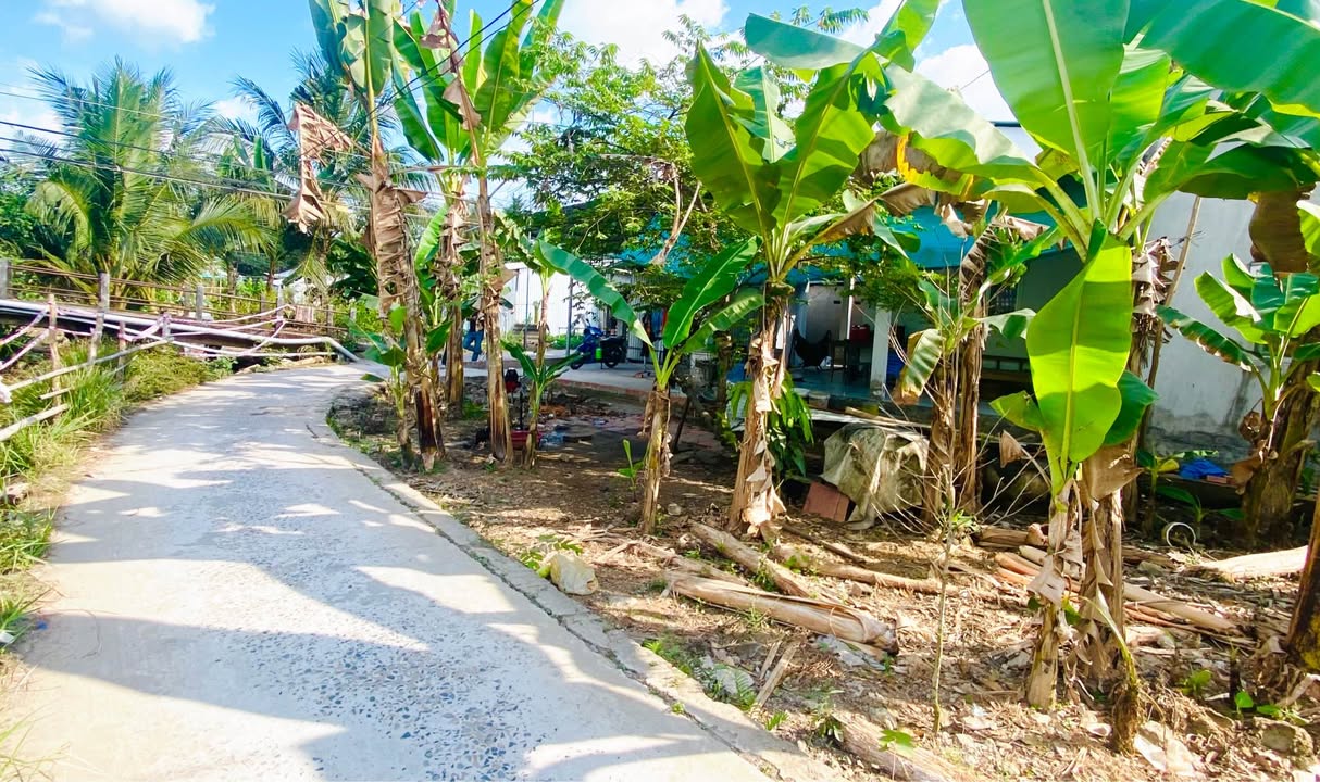 Đất nền Thới An Đông, Cần Thơ 81m² - Sổ hồng sang tên ngay!