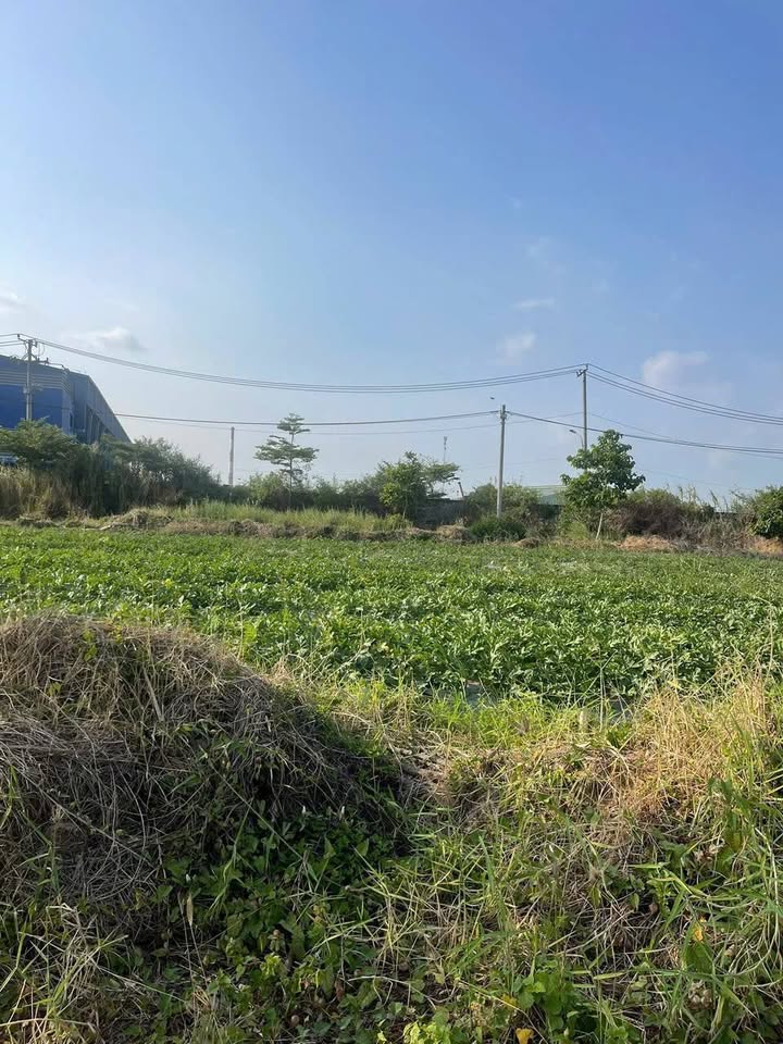 Đất nền Vạn Phát Mái Dầm 160m² giá 1.26 tỷ - Sổ đỏ chính chủ!