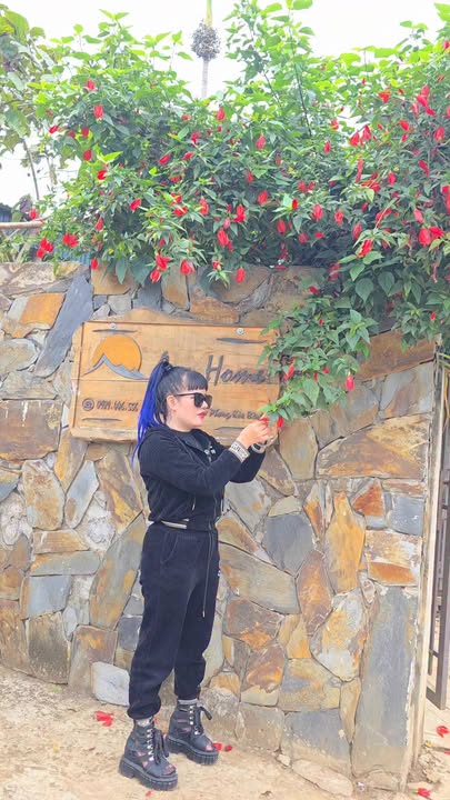 Bán đất Hợp Phong Cao Phong 1.661m² - Sổ đỏ chính chủ, đầu tư sinh lời!