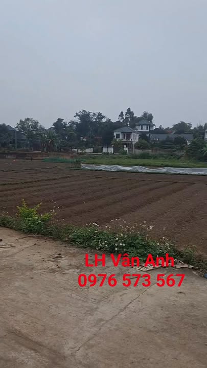 Đất nền Lập Thạch 156.2m² - Tiềm năng tăng giá vượt trội!