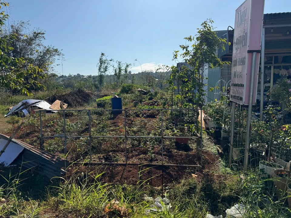 Đất Vàng Đắk Nông 402m² - Sổ Đỏ Sẵn Sàng - Giá Đầu Tư