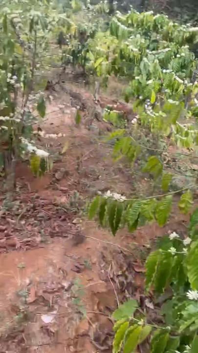 Đất nền Đắk Wer, Đắk R'Lấp 3.4ha - Tiềm năng tăng giá vượt trội